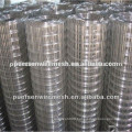 Whole sale China galvanized iron welded wire mesh